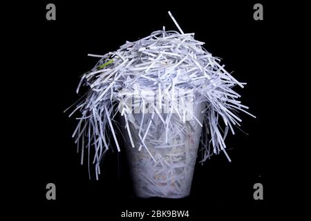 paper shredded with a shredder in a waste paper basket, black background Stock Photo