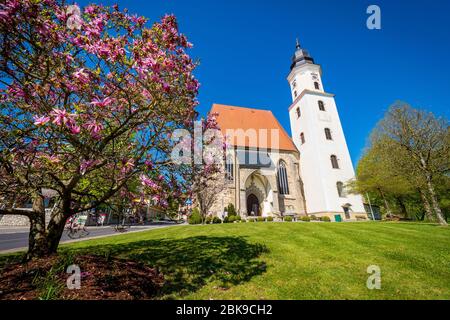 Exterior view of the 15th century Catholic hall church Wallfahrtskirche Mariä Heimsuchung in Zell am Pettenfirst, Oberösterreich, Austria Stock Photo