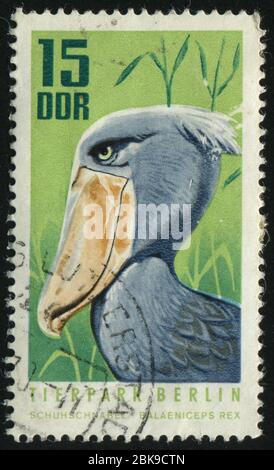 GERMANY- CIRCA 1970: stamp printed by Germany, shows shoebill, circa 1970. Stock Photo