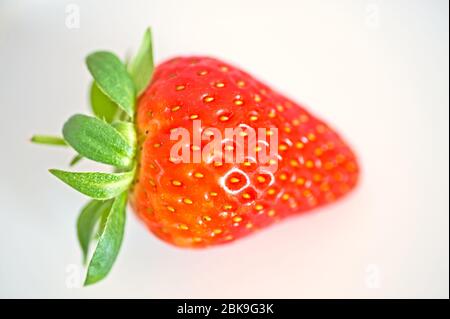 Abstract image of strawberries on a white background Stock Photo