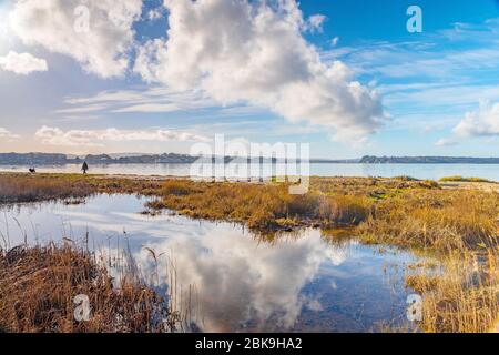 View over Poole Harbour and Brownsea Island from Sanbanks Stock Photo
