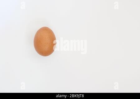 Single dark hen's egg isolated on white background with copy space Stock Photo