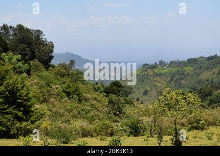 Scenic forest landscapes in the Aberdare Ranges, Kenya Stock Photo