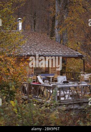 Cabin in the autumn woods Stock Photo