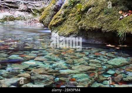 detail of mountain stream from Nerei gorges National Park,  Romania Stock Photo