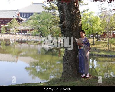 Japanese woman in kimono reading a book by a tree in a park with temple in the background Stock Photo