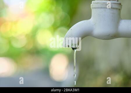 Dripping faucet in white close-up against the background of a green garden Stock Photo