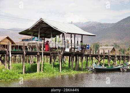 Gangway on stilts and floating gardens, Maing Thauk village, Inle lake, state of Shan, Myanmar, Asia Stock Photo