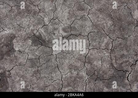 A photograph looking down, close up, of dry parched earth / soil in a garden.  Dry and barren ground. Stock Photo