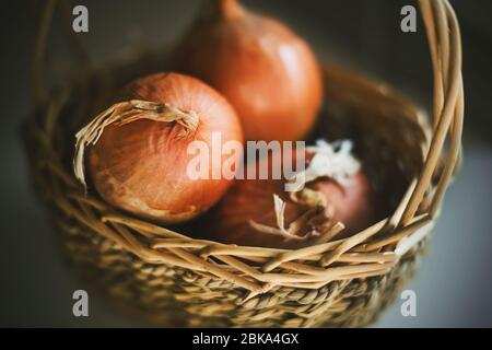 Three large ripe onions lie in a small wicker basket with an elegant handle. Harvest from the garden. Stock Photo