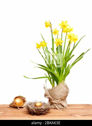 design and handicraft, spring yellow narcissus flower on green stem in ...