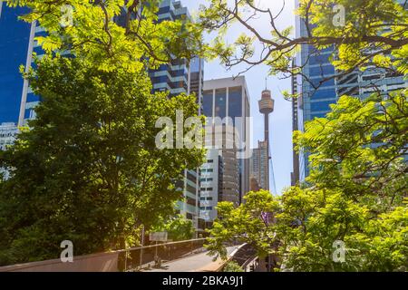 View of the Sydney Tower in daylight, Sydney, New South Wales, Australia Stock Photo