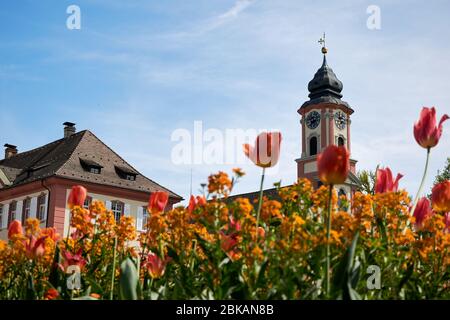 Baroque castle with colorful tulips at Island Mainau - a 'flowering island' notable for its parks and gardens located at Lake Constance, Germany Stock Photo