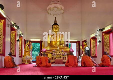 Orange-robed Buddhist monks assembled for evening prayers in front of the Buddha statue of Wat Mongkon Nimit, Phuket Town, Phuket, Thailand Stock Photo