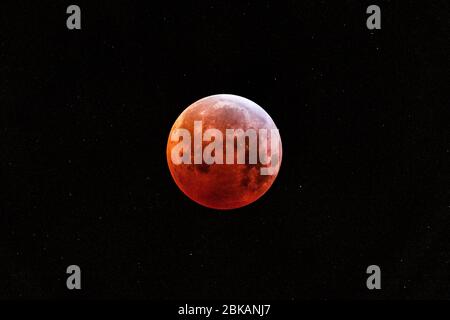 Bloodmoon in the black sky Stock Photo