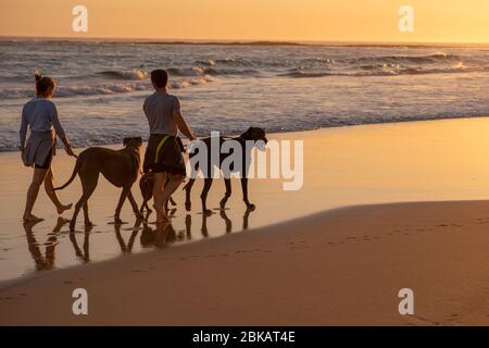 Couple walking along coastline during golden hour Stock Photo