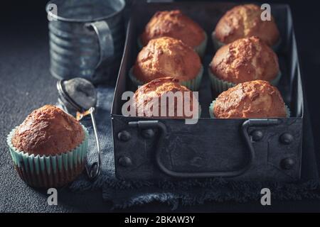 Closeup of vanilla cupcakes on rustic dark table Stock Photo
