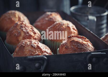 Yummy and sweet vanilla cupcakes on rustic dark table Stock Photo
