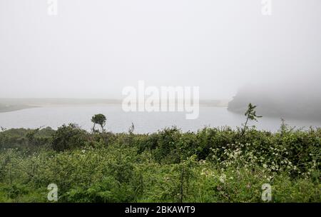 Loe Pool, Cornwall, UK. 3rd May, 2020. UK weather Cornwall's largest natural lake, Loe Pool covered in sea mist 03-05-2020 Penrose is a mixture of rich farmland and woodland around Cornwall's largest natural lake, Loe Pool. Credit: kathleen white/Alamy Live News Stock Photo