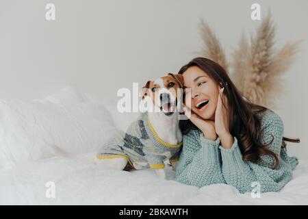 People And Animals Concept Joyful Pretty Young Woman Express Love To Dog Spends Leisure Time With Pet Lie Together On Bed Looks Tenderly At Animal Stock Photo Alamy