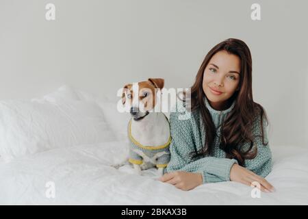 Photo of lovely dark haired woman dresses her dog for cold weather, going to have outdoor walk, lie together at comfortable bed against white backgrou Stock Photo