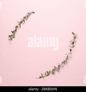 Eucalyptus leaves on pastel pink background. Floral composition, flat lay, top view, copy space Stock Photo
