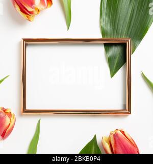 Empty photo frame with red tulip flowers on white background. Floral composition, flat lay, top view, copy space Stock Photo