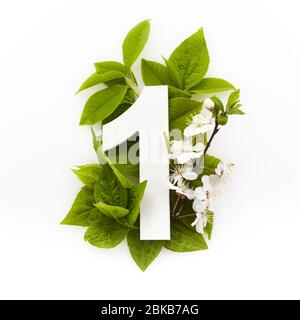 Number one with green leaves. Minimal summer concept. Flat lay. Stock Photo