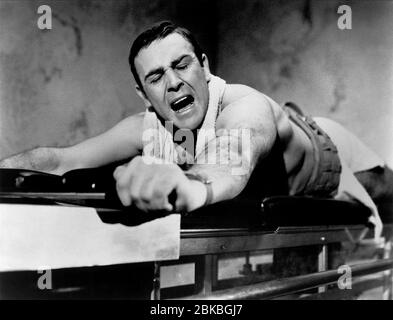 Sean Connery Young Bodybuilder - Sean Connery Thunderball 1965 Stock Photo Alamy