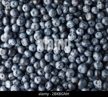 background of fresh ripe blueberries, top view Stock Photo