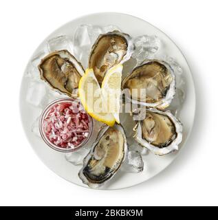 plate of fresh raw oysters isolated on white background, top view Stock Photo