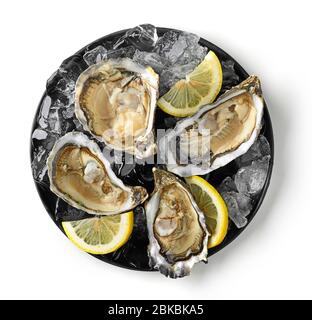 plate of fresh raw oysters isolated on white background, top view Stock Photo