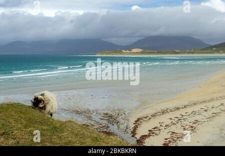 Luskentyre beach, Isle of harris, Outer Hebrides, Scotland Stock Photo