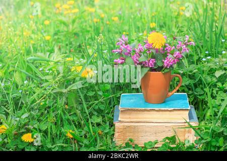 ceramic Cup with flowering plants on a stack of old books in a clearing with a green clover on a warm spring or summer morning Stock Photo