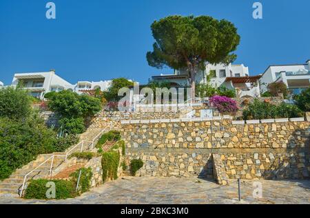 Comfortable green complex of little cottages with numbers for tourists Stock Photo