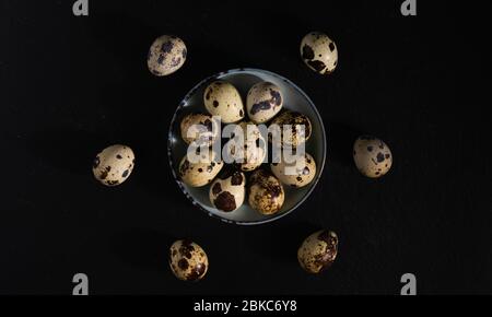 still life, quail eggs on a plate on a dark background, top view Stock Photo