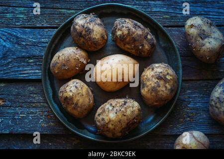 Dirty and washed young uncooked potatoes in a plate on a wooden old table farm food