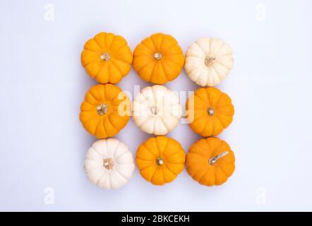 Orange and white pumpkins. Top view of autumn style pumpkins on isolated background. Fall minimal concept flat lay vegetables. Stock Photo