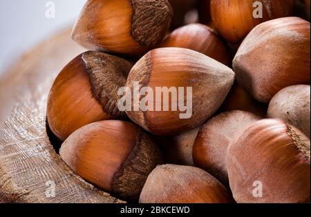 Hazelnuts in wooden bowl. Close up shelled, raw and unroasted nuts. Macro and detailed Stock Photo