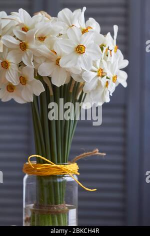 Bouquet of many white daffodils in glass vase on table with beige linen tablecloth, selective focus Stock Photo