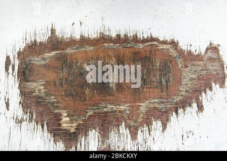 Texture of old wooden plywood with cracked white paint and small deep cracks closeup. Abstract natural background for your design. Stock Photo