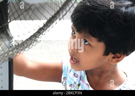 Asian little baby girl is playing at home during his school holiday Stock Photo