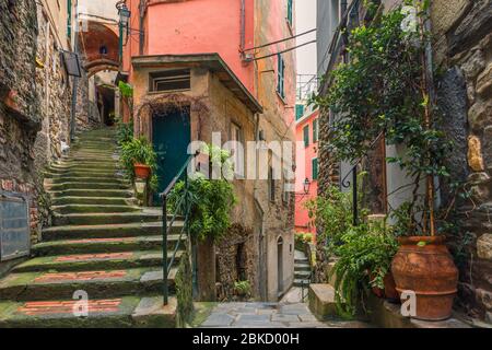 Old italian street in town Vernazza with medieval stairs and pots with green plants with nobody on Cinque Terre coast, Liguria, Italy, Europe Stock Photo