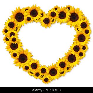 heart shape floral frame greeting card with sunflower flowers isolated on white background with copy space. Can be used for invitation or mothers day Stock Photo