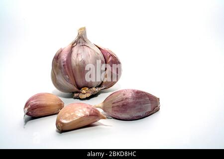 Garlic bulb and cloves Stock Photo
