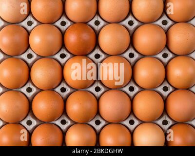 Thirty brown chicken eggs in a cardboard tray packaging. Raw fresh hen eggs in a carton box. Egg pattern background for easter, breakfast, cuisine. Stock Photo