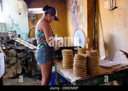 Young woman making and stacking corn pancakes in a small bakery in the town of San Felipe. Tortitas are the staple food of the majority of the populat Stock Photo