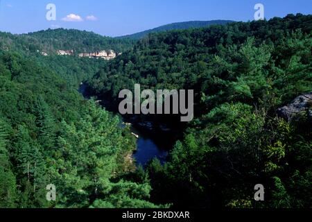 Clear Creek from Lilly Bluff Overlook, Obed Wild & Scenic River, Tennessee Stock Photo