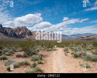 Hiking and mountain biking trial by mountains in the desert near Las Vegas, Nevada, USA Stock Photo