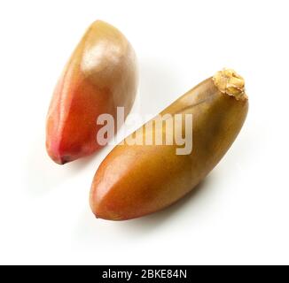 fresh raw dates macro isolated on white background Stock Photo